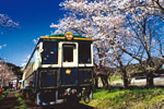 桜咲く浦ノ崎駅とイベント車両「レトロン号」