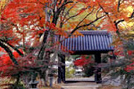 秋月城跡