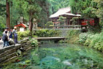 白川水源