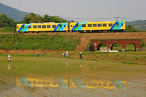 田植え風景の中を行く列車